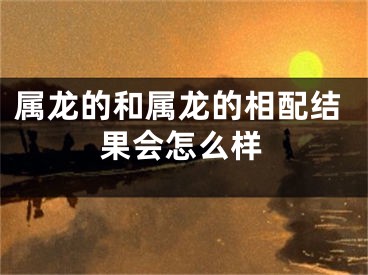 属龙的和属龙的相配结果会怎么样