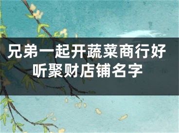 兄弟一起开蔬菜商行好听聚财店铺名字