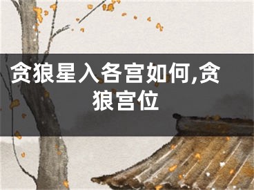 贪狼星入各宫如何,贪狼宫位