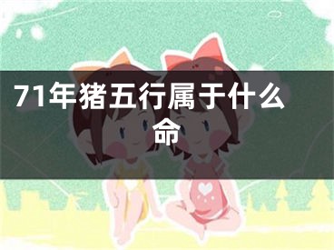 71年猪五行属于什么命
