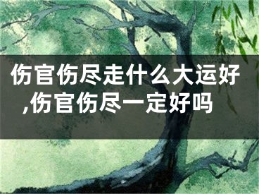 伤官伤尽走什么大运好,伤官伤尽一定好吗