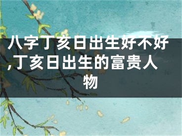 八字丁亥日出生好不好,丁亥日出生的富贵人物
