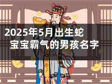 2025年5月出生蛇宝宝霸气的男孩名字