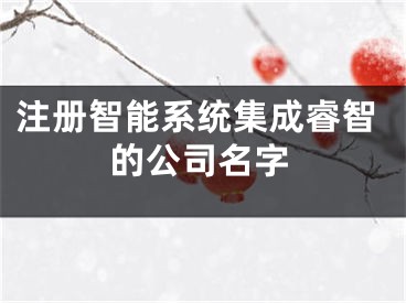 注册智能系统集成睿智的公司名字