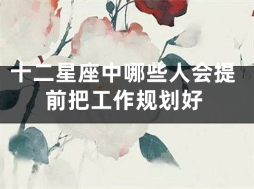 十二星座中哪些人会提前把工作规划好