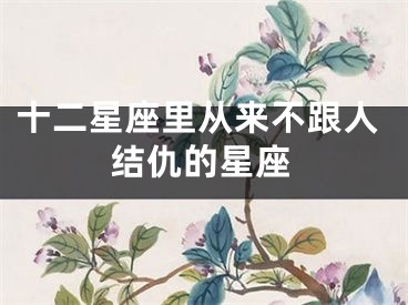 十二星座里从来不跟人结仇的星座