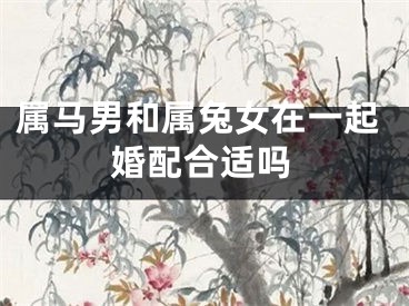 属马男和属兔女在一起婚配合适吗