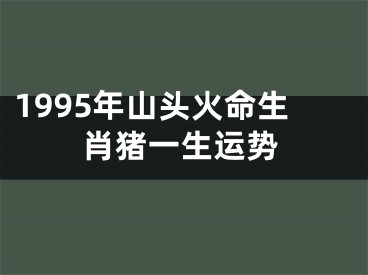 1995年山头火命生肖猪一生运势