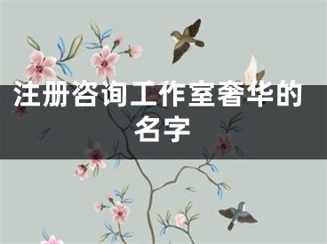 注册咨询工作室奢华的名字