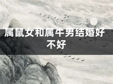 属鼠女和属牛男结婚好不好