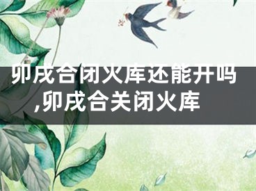 卯戌合闭火库还能开吗,卯戌合关闭火库