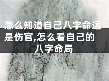 怎么知道自己八字命运是伤官,怎么看自己的八字命局