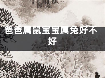 爸爸属鼠宝宝属兔好不好