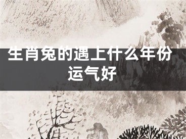 生肖兔的遇上什么年份运气好