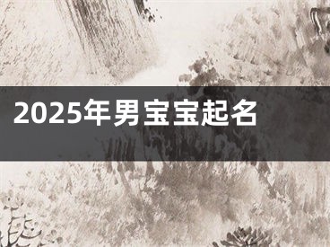 2025年男宝宝起名