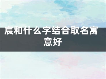 宸和什么字结合取名寓意好