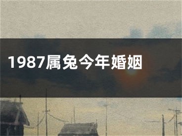 1987属兔今年婚姻