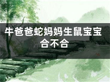 牛爸爸蛇妈妈生鼠宝宝合不合