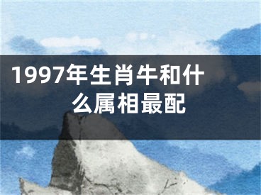 1997年生肖牛和什么属相最配