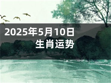 2025年5月10日生肖运势