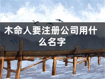 木命人要注册公司用什么名字