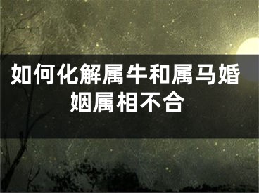 如何化解属牛和属马婚姻属相不合