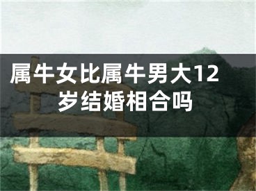 属牛女比属牛男大12岁结婚相合吗