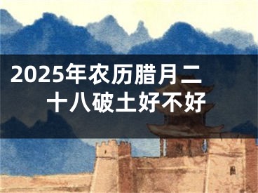 2025年农历腊月二十八破土好不好
