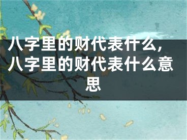 八字里的财代表什么,八字里的财代表什么意思