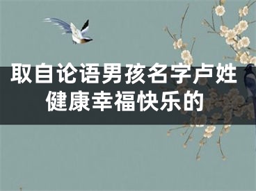取自论语男孩名字卢姓健康幸福快乐的