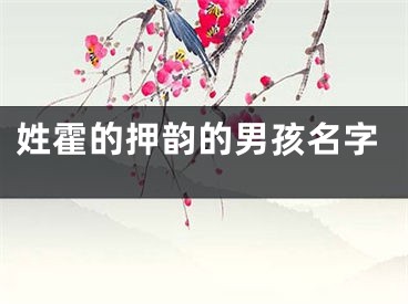 姓霍的押韵的男孩名字