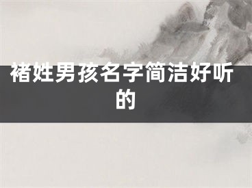 褚姓男孩名字简洁好听的