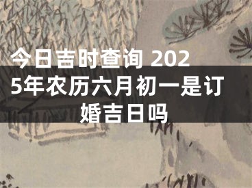 今日吉时查询 2025年农历六月初一是订婚吉日吗