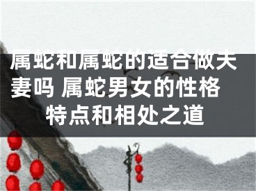属蛇和属蛇的适合做夫妻吗 属蛇男女的性格特点和相处之道