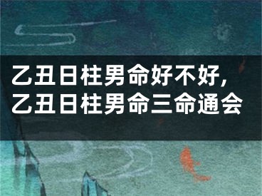 乙丑日柱男命好不好,乙丑日柱男命三命通会