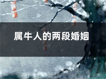 属牛人的两段婚姻