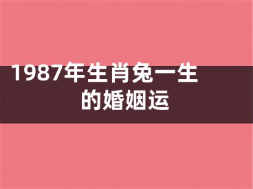 1987年生肖兔一生的婚姻运