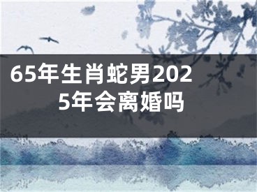 65年生肖蛇男2025年会离婚吗