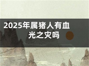 2025年属猪人有血光之灾吗