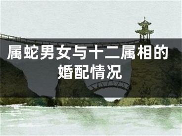 属蛇男女与十二属相的婚配情况
