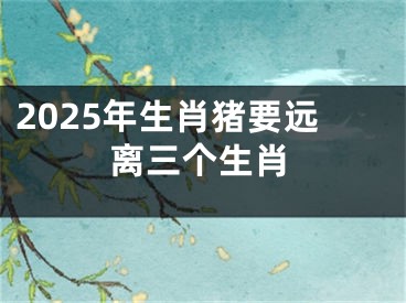 2025年生肖猪要远离三个生肖