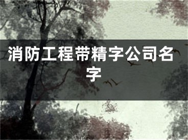 消防工程带精字公司名字