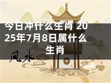 今日冲什么生肖 2025年7月8日属什么生肖