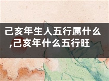 己亥年生人五行属什么,己亥年什么五行旺