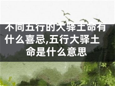不同五行的大驿土命有什么喜忌,五行大驿土命是什么意思