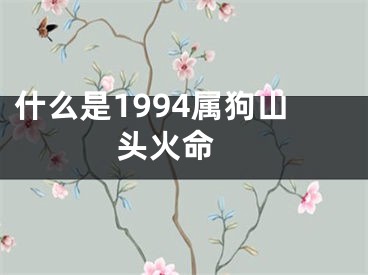什么是1994属狗山头火命 