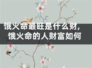 饿火命最旺是什么财,饿火命的人财富如何