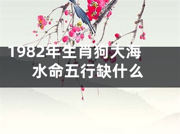 1982年生肖狗大海水命五行缺什么