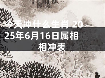 今天冲什么生肖 2025年6月16日属相相冲表