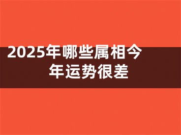 2025年哪些属相今年运势很差 